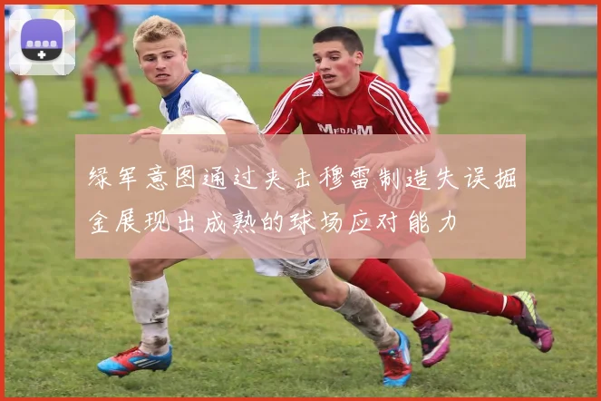 绿军意图通过夹击穆雷制造失误掘金展现出成熟的球场应对能力